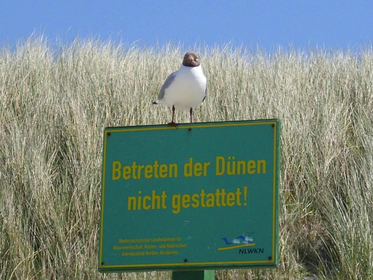 Seevilla Wietjes Whg 3 Baltrum Exteriér fotografie